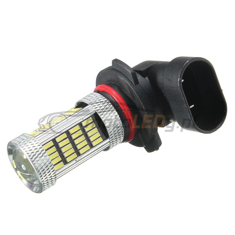 LED HB3 12V-24V 19W CANBUS