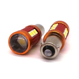 lampadina LED BAY9S 12-24V CANBUS 850lm forte