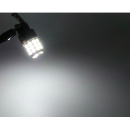 lED lamp 7440 12-24V CANBUS 1400lm wit