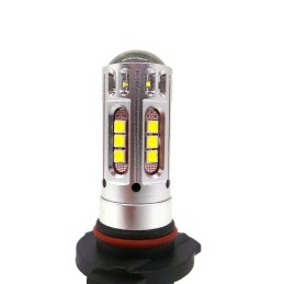 lED крушка HB4A 12V CANBUS 2500lm