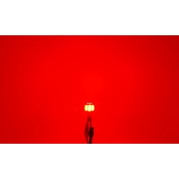 żarówka LED W16W 12-24V 100% CAN czerwona bez błędu