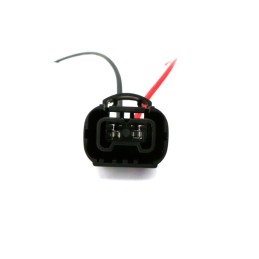 Pistorasia H16, PS19W, PS24W, P13W, PSX24W, 5202