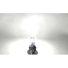 lED lemputė P21W BA15S 12-24V be gedimų 2600lm balta