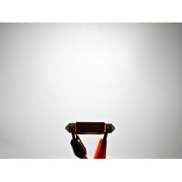 lED lemputė SV8.5 12V CANBUS 39mm