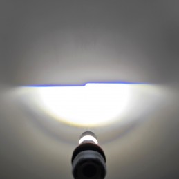 lED H11 12-24V CANBUS lemputės, skirtos JAV žibintams, išjungimo linija 2 vnt.