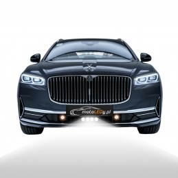 Esituled Laser LED numbrimärk EU 12V + kaugjuhtimispult