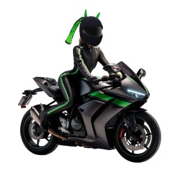 Wild Rider sisak sapka