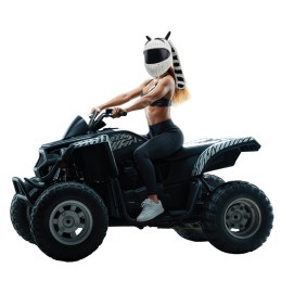 Șapcă cu cască White Rider