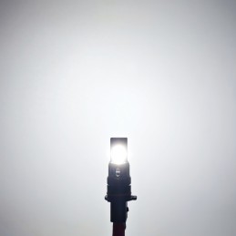 lED-lamp P13W 12-24V 3000lm CANBUS wit sterk