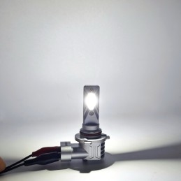 LED-pirn H10 9V-30V CANBUS 5000lm 2 tk