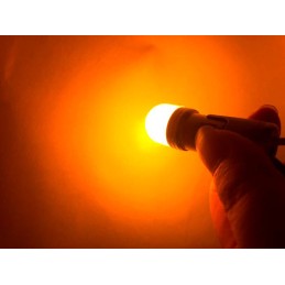 LED BA15S 12-24V CANBUS arancione